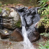 DSC01136