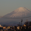 今朝の富士山