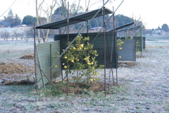 DSC01220