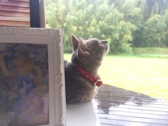 何を考えているの？