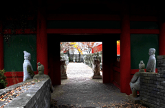 太陽公園2015.11.01 12