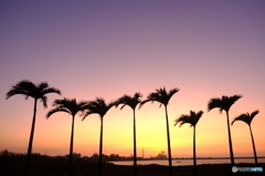 夕日