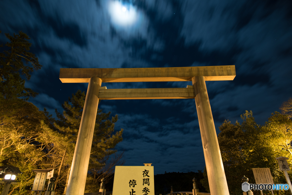 夜の跳躍