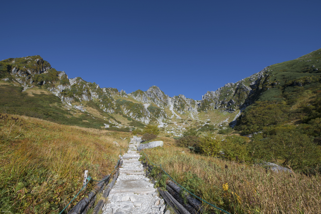 快晴の登山道1