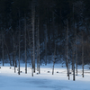 湖上の雪