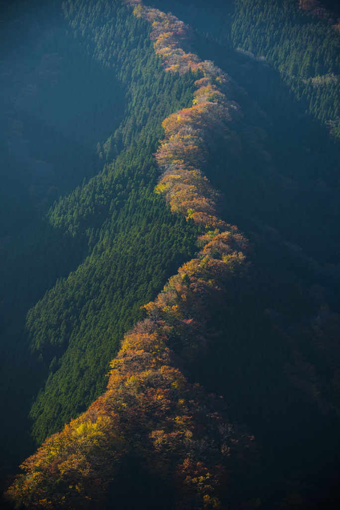 稜線の昇り竜