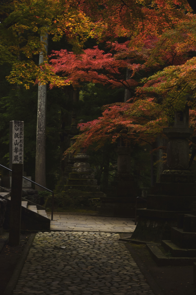 谷汲山境内紅葉2