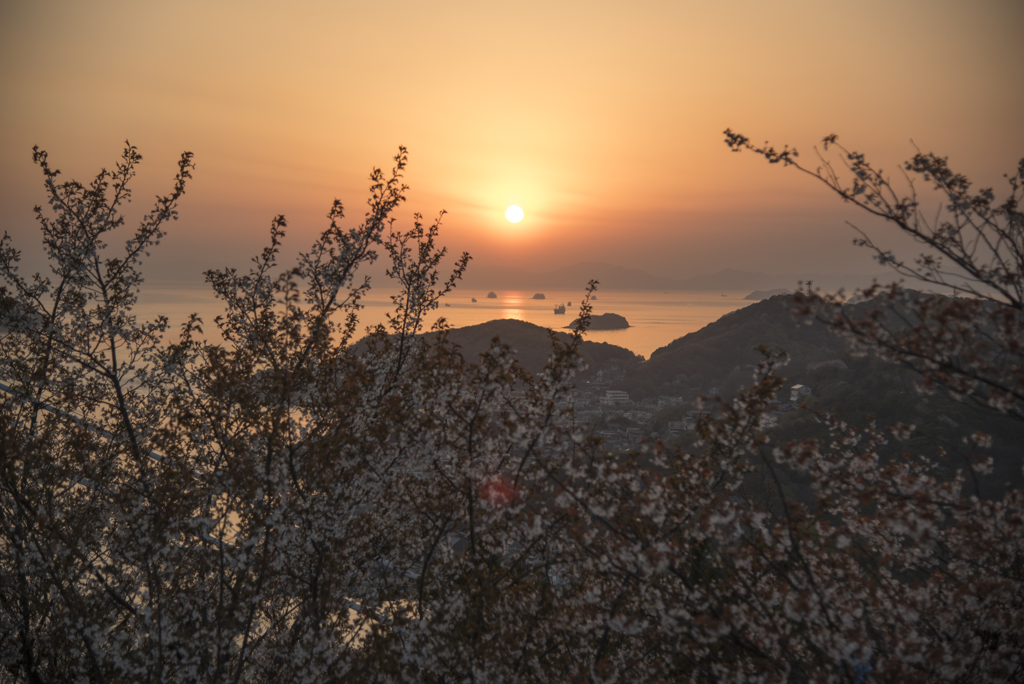 瀬戸内の夕日