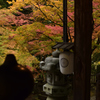 谷汲山華厳寺境内より2
