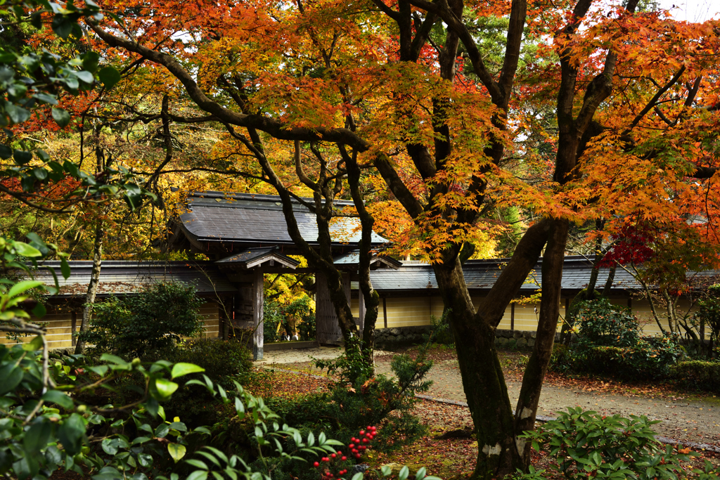 紅と緑の山門