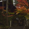 谷汲山境内紅葉3