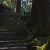 朝の参道