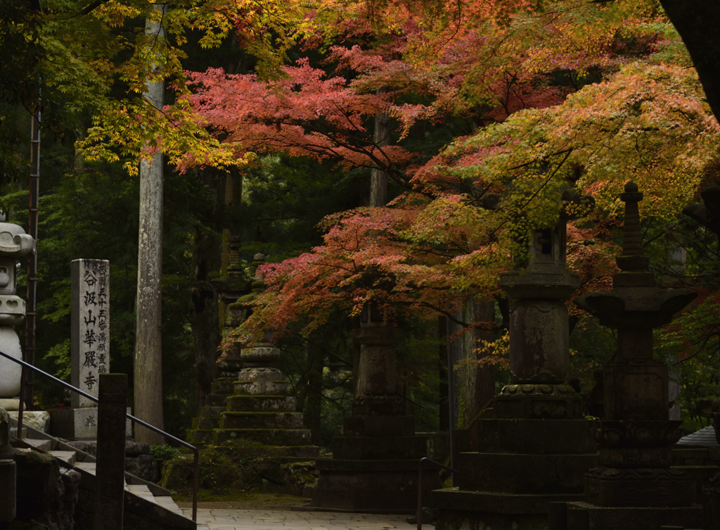 谷汲山境内紅葉1