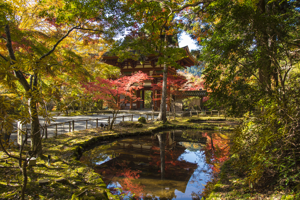 山寺の紅葉