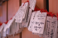 WISH