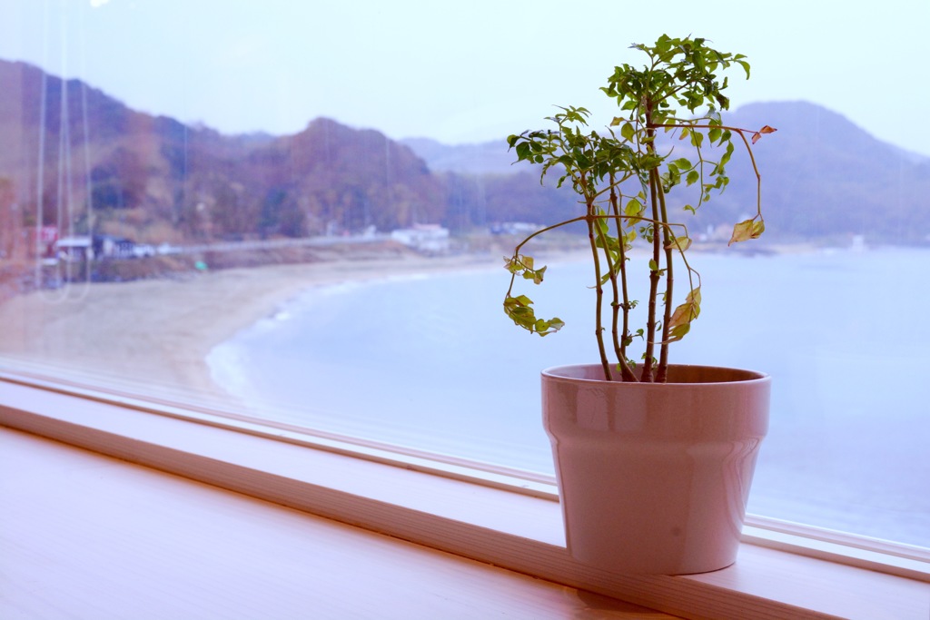 雨の海