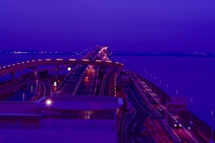 Tokyo bay