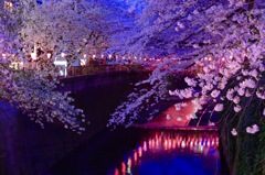 目黒川