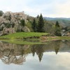 与一野のしだれ桜2