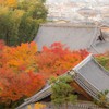 裏山から圓光寺と京都の街並み