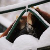 つっこみ