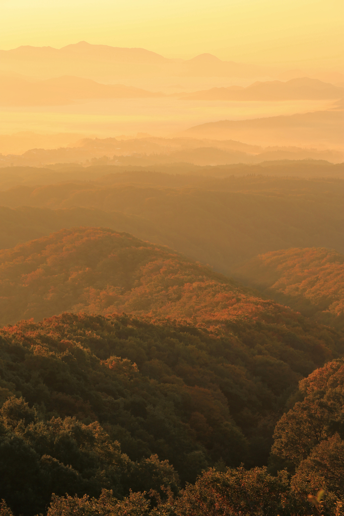 大山の紅葉を撮りに行ったけどなぜか雲海を撮って来た。