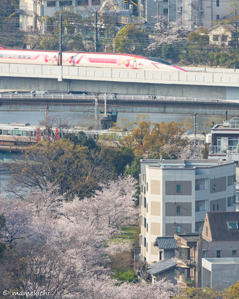 15分かけて登って15分で撮影かまして15分で下山した件。