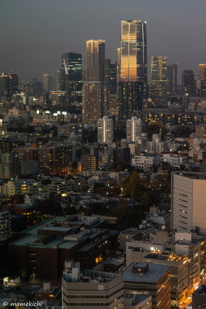 最近のビルはガラス張り。