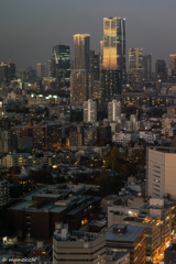 最近のビルはガラス張り。