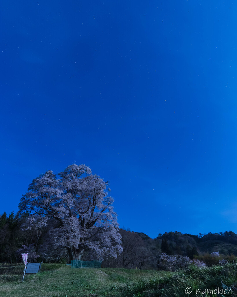 北斗七星、見えるかな？