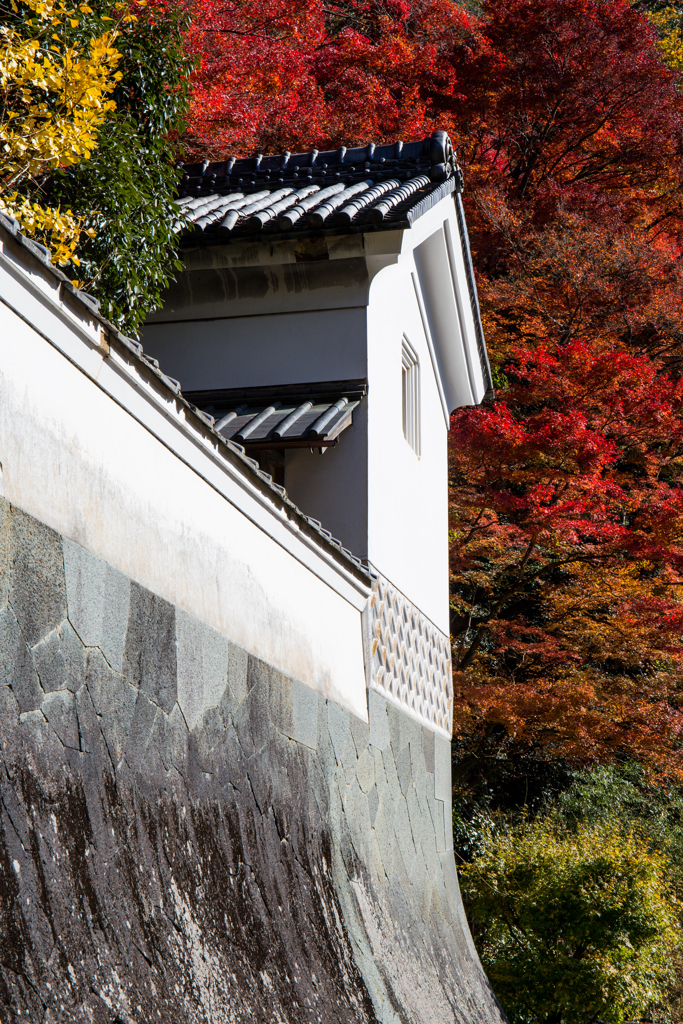 蔵と紅葉