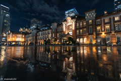 水たまりを求めてさまよった。