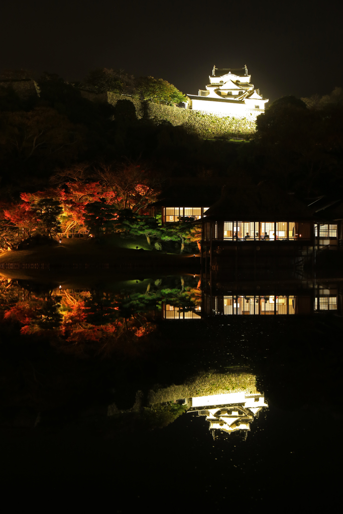Line symmetry "Hikone castle"