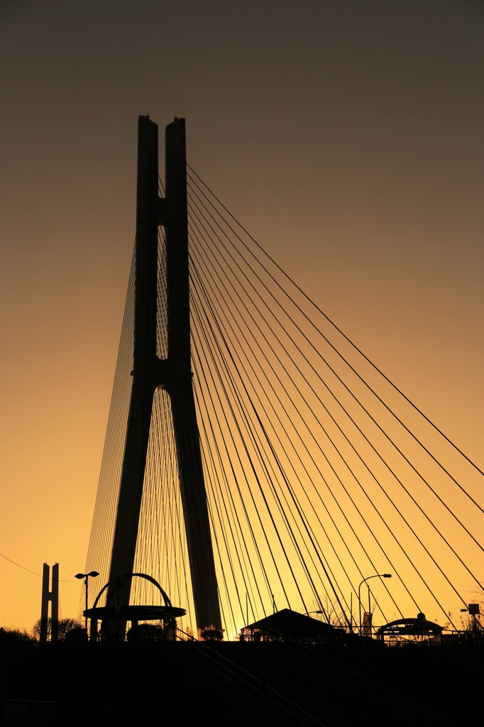 多々羅大橋4