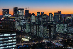 富士山見えない。東京タワーも見えない。