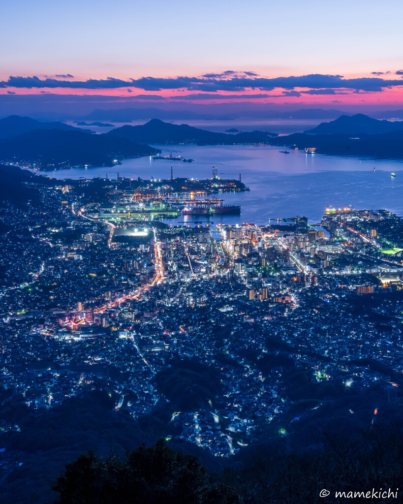 もう今年は撮りに行けん。