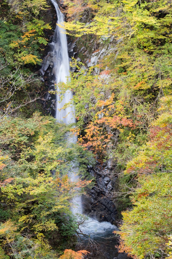 上半分大山滝