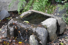 境内の湧水