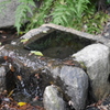 境内の湧水