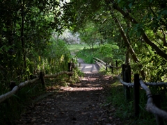 P1260489