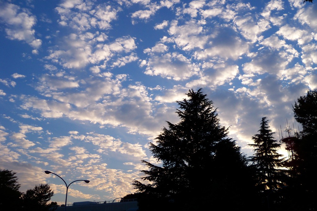 ひつじ雲