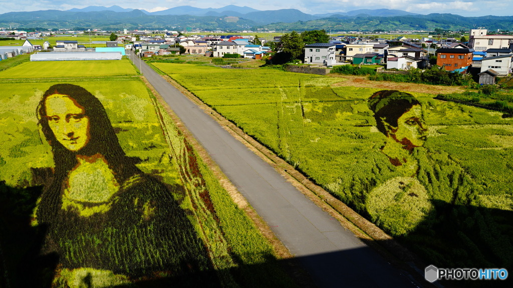 田舎館田んぼアート2022②