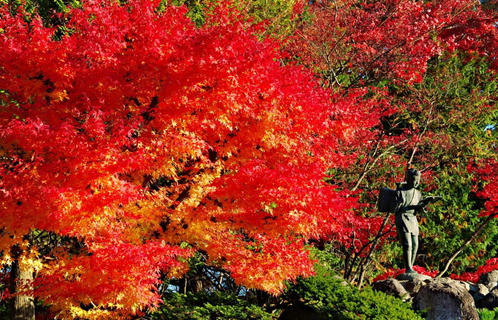 二宮尊徳と紅葉