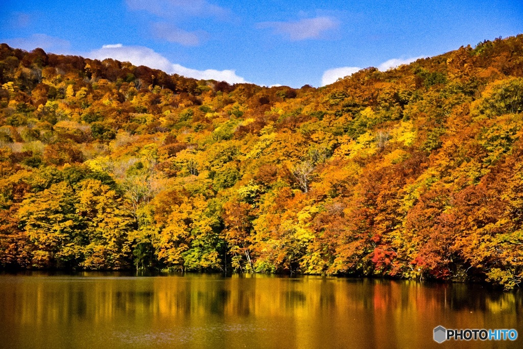 八甲田　蔦沼