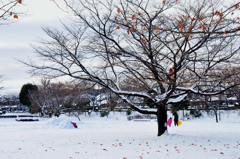 公園も真っ白