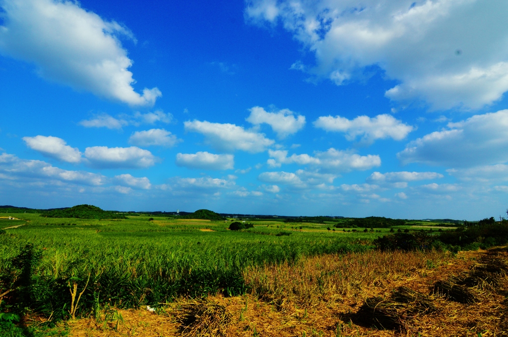 キビと雲