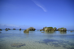 rockと海