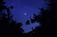 First star