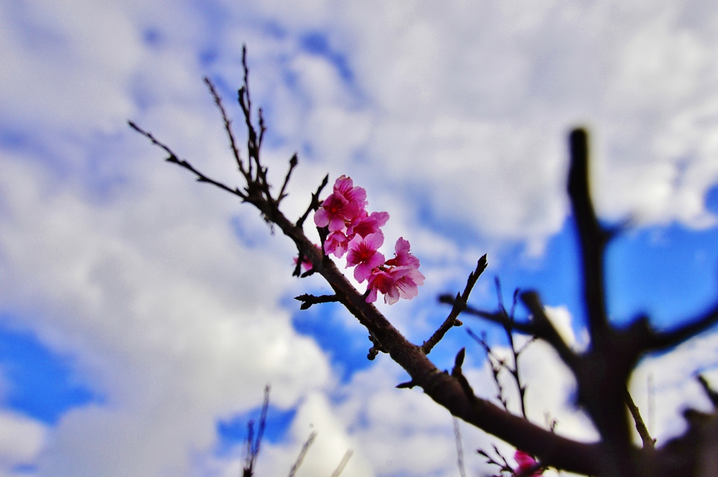 News of spring