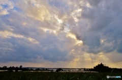 Way home